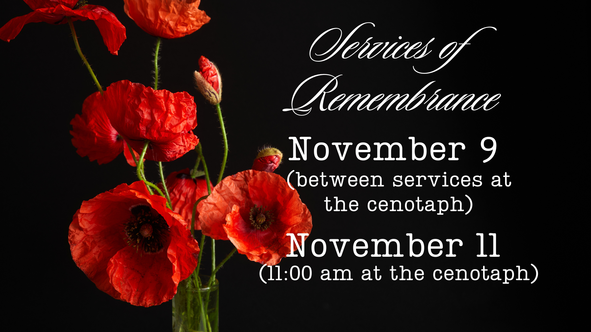 Remembrance Day (3)